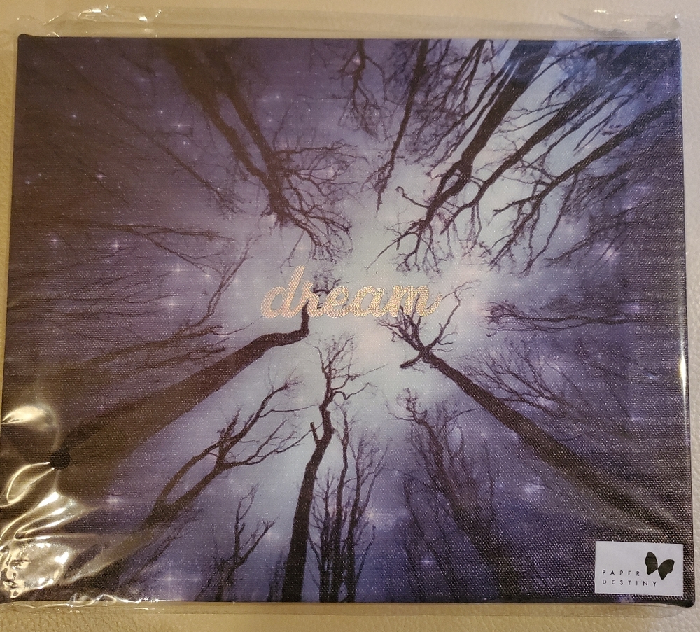 Dream Canvas Art